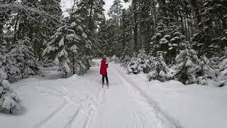 Gravel bike on deep snow. Village, forest, skiers