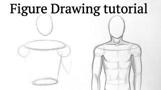 How to draw human figure drawing Male Torso easy for Beginners| Pencil drawing tutorial easy Basics