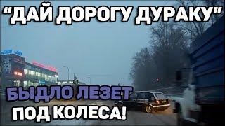 Автоподборка "Дай дорогу дураку" Быдло лезет под колеса#76