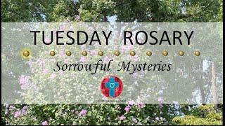 Tuesday Rosary • Sorrowful Mysteries of the Rosary  August 27, 2024 VIRTUAL ROSARY - MEDITATION