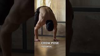 CROW POSE Tutorial for BEGINNERS #yoga #fitness