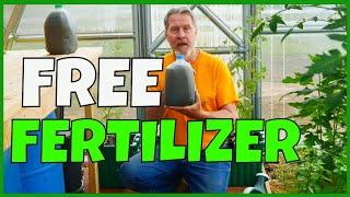 How to Make Organic Fertilizer (FOR FREE)