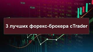 Форекс | 3 лучших форекс-брокера cTrader 2023 | Топ-3 рейтинга форекс-брокеров