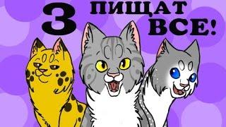 Писклявые Похождения на CatWar 3