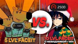 5 LVL FACEIT ПРОТИВ 10 LVL FACEIT с НЕВИДИМКОЙ и ВХ (CS2)