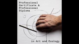 Professional Certificate and Diploma in Art and Ecology Webinar