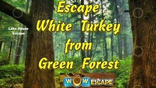 Wow Escape White Turkey  from Green Forest walkthrough..