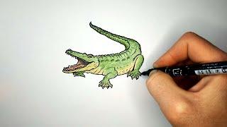 Как нарисовать Крокодила | How to Draw a Crocodile