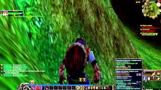 Профессиональный повар играет в World of Warcraft