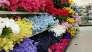 Thinking Outside The Box-Dollhouse Plants