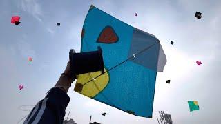 patang catch *patang* kite flying on Sunday