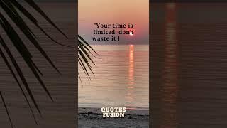 | Quotes Fusion