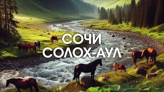 СОЧИ _ Солох-аул _ Прогулка по ЛЮБИМЫМ местам!