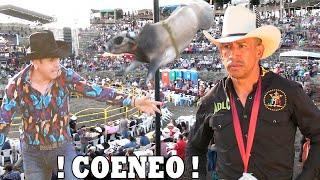 !! JARIPEO EN COENEO MICHOACAN - JINETES DEL ANDALIEGO Y LOS ENTERRADORES ¡¡ 23 DE OCTUBRE DEL 2024