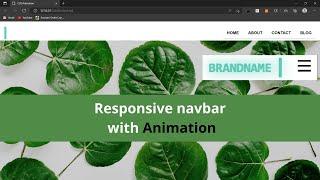 Responsive navbar With CSS Animation