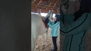 Заканчиваем езду верхом так...