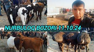 SAMARQAND V NUROBOD TUMANI NURBULOQ SH CHORVA BOZORIDAN NARXLAR 11.10.24 ELYOR UZ  901998090