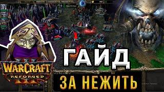 Гайд За НЕЖИТЬ для НОВИЧКОВ - WarCraft 3:Reforged - Как играть за АНДЕДОВ в ВАРКРАФТ 3