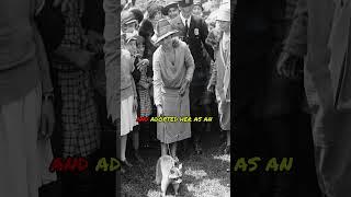 The Raccoon In The White House