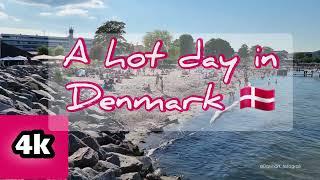 A hot day in the beach, Denmark, Summer 2021,4k by @denmarkphotographer