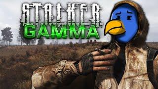 Why Stalker Gamma is SO AWESOME!?