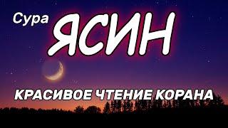 Сура Ясин - очень красивое чтение корана. прекрасный коран