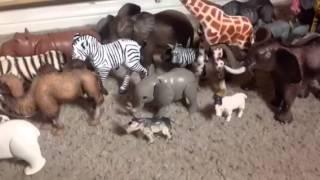 Animal Stampede