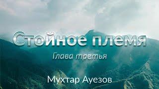 Стойное племя. Глава третья. Мухтар Ауезов (аудиокнига)