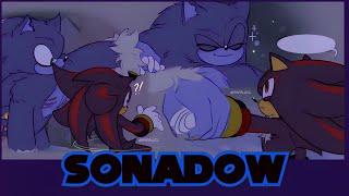 Rhythm of the Night Sonadow️ Comic Dub @ 𝑺𝒉𝒊𝒑𝒔𝑳𝒖𝒄𝒊𝒂