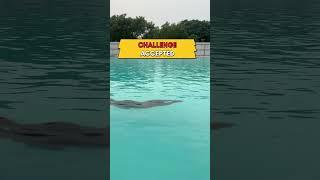 Swimming challenge #swimming #swimmingchallenge #sports