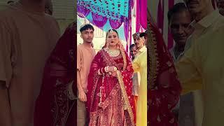 Himachali marriage //dev bhum Himachal Pradesh