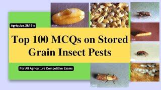 Top 100 MCQs on Stored Grain Insect Pests