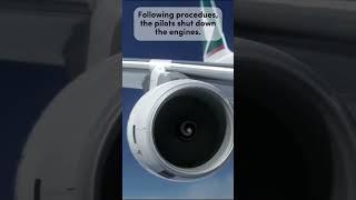 The Story of Cathay Pacific Flight 780 
