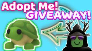 TURTLE GIVEAWAY FOR FREE IN ADOPT ME! #adoptmegiveaway #adoptmeturtle