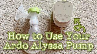 How to Use Your Ardo Alyssa Breast Pump // Momma Alia