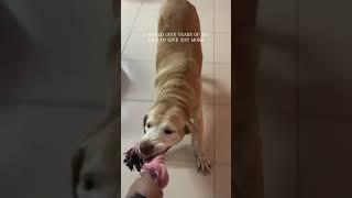 You & me forever ️️️#dogismylife #dogforlife #myfamily