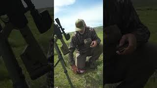 Prairie Dogs VS. 223 55gr TUI® #shorts #hunting #buckcommander