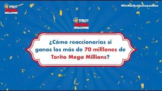 Torito Mega Millions