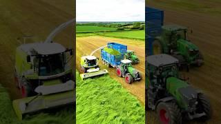 Grass with the CLAAS Jaguar Forage Harvester #silage