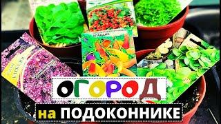 ОГОРОД на подоконнике в зимний период. Несколько способов посевов