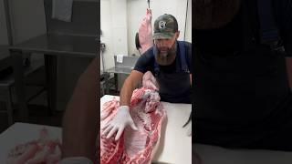 Half of a pig  #shorts #youtubeshorts #pork #pig #hog #butcher #butchering #thebeardedbutchers