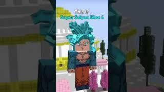 How to go Super Saiyan Blue 4 in Minecraft Dragon Block C