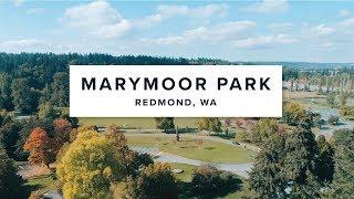 8 Things To Do At Marymoor Park | Redmond, WA