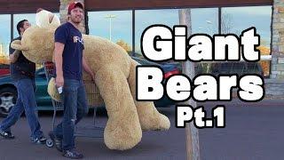 Giant Bears Pt1