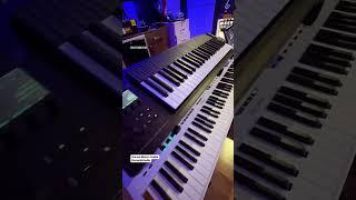 Ksoundstudio #presonus #music #composer #piano #composition #producers #ستوديو #كارم_مطر