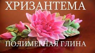 ХРИЗАНТЕМА : ПОЛИМЕРНАЯ ГЛИНА : МАСТЕР-КЛАСС DIY : CHRYSANTHEMUM OF POLYMER CLAY