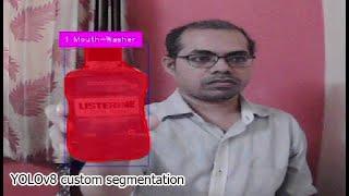 YOLOv8 custom segmentation | Real-time object segmentation | YOLOv8 custom instance segmentation