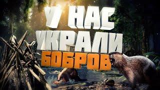 СТРОИМ БОБРОВУЮ ФЕРМУ | #ARK:SurvivalEvolved