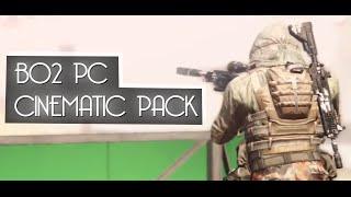 Revzrr - BO2 PC Cinematic pack #1 [60FPS]