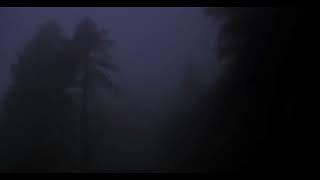 cinematic music - forrest rain at night